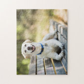 gele labrador introduceert op bank legpuzzel (Verticaal)