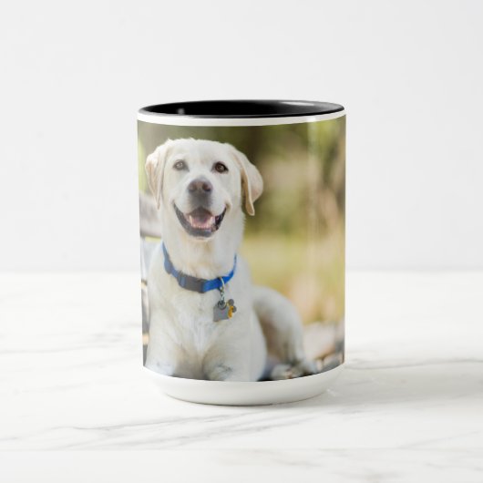 gele labrador introduceert op bank mok (Midden)