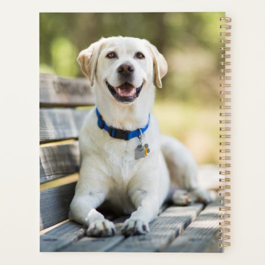 gele labrador introduceert op bank planner (Achterkant)