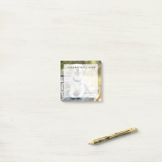 gele labrador introduceert op bank post-it® notes (Op bureau)