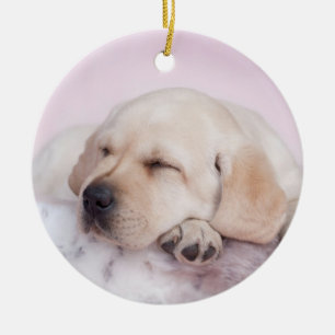 Gele labrador-kapper keramisch ornament