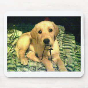gele labrador muismat