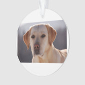 gele labrador ornament (voorkant)
