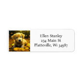 Gele labrador puppy spelen in herfst bladeren etiket (Voorkant)