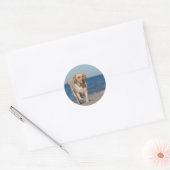 Gele labrador recovery op het strand ronde sticker (Envelop)
