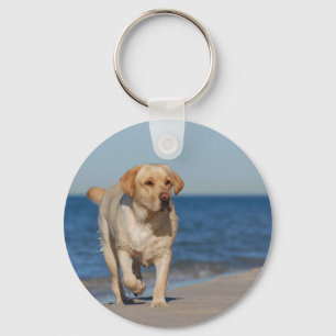 Gele labrador recovery op het strand sleutelhanger