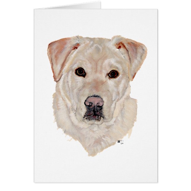 Gele Labrador Retriever (Voorkant)