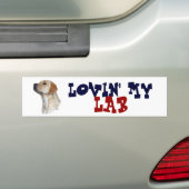 Gele labrador Retriever bumper sticker (Op auto)