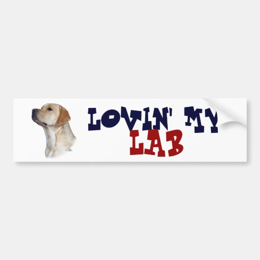 Gele labrador Retriever bumper sticker (Voorkant)