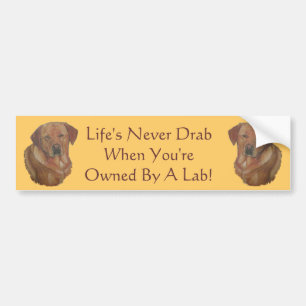 gele labrador retriever hondenportret kunst slogan bumpersticker