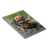 Gele labrador retriever met eend notitieboek (Rechterzijde)