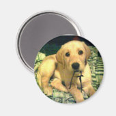 gele labrador retriever puppy magneet (Voorkant / Achterkant)