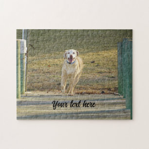 Gele Labrador Retriever Rent Legpuzzel