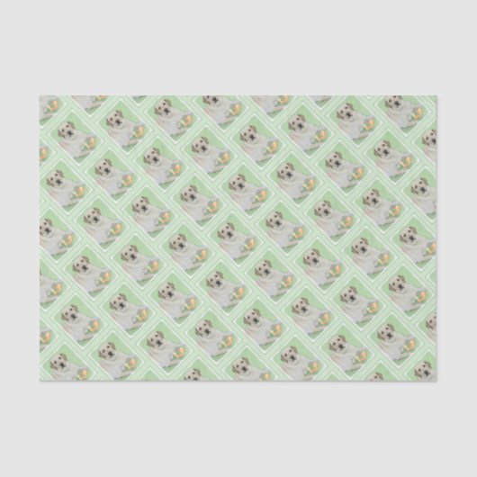 Gele labrador Retriever & Tennis Balls Painting Tissuepapier (Voorkant)