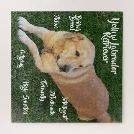 Gele Labrador Retriever Traits Game Legpuzzel (Horizontaal)