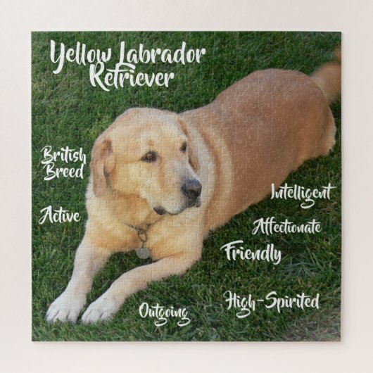 Gele Labrador Retriever Traits Game Legpuzzel (Verticaal)
