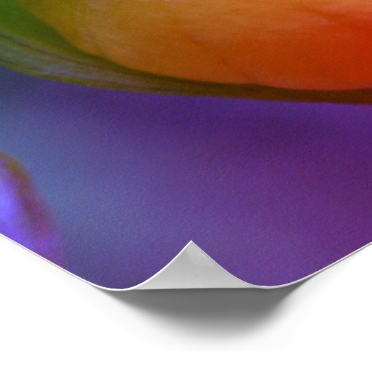 Gele Lady Slipper Orchidee Bloem Getint Poster (Hoek)