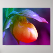 Gele Lady Slipper Orchidee Bloem Getint Poster (Voorkant)