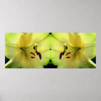 Gele Lelie Bloemblaadjes Spiegel Abstract