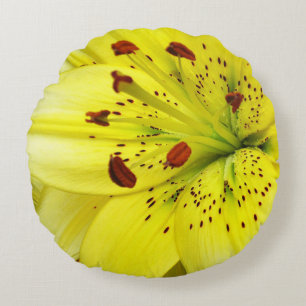 Gele lelie close-up rond kussen