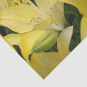 Gele Lelies Tissuepapier (Detail)