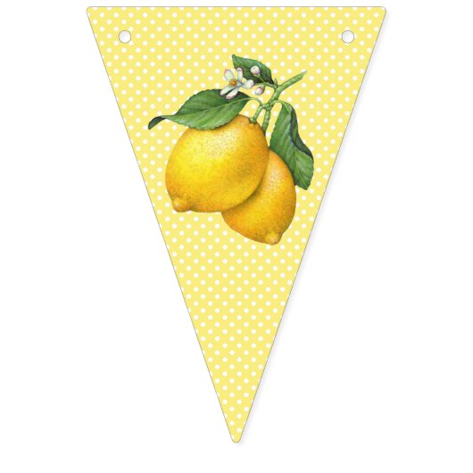 Gele Lemon Bunting Flags Vlaggetjes (Dertiende vlag)