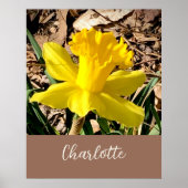 Gele lente-affodil in de Garden-aangepaste naam Poster (Voorkant)