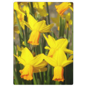 Gele lentesaffodils Floral Klembord (Achterkant)