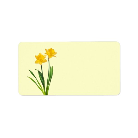 Gele lentesaffodils - Sjabloon van Daffodil Etiket (Voorkant)