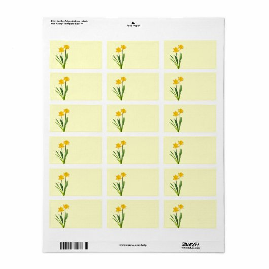 Gele lentesaffodils - Sjabloon van Daffodil Etiket (Full Sheet)