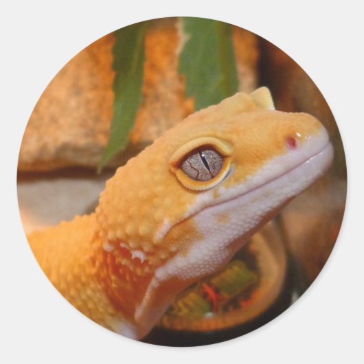 Gele leopard Gecko Lizard Ronde Sticker (Voorkant)