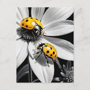 Gele lieveheersbeestje op zwarte witte bloem briefkaart