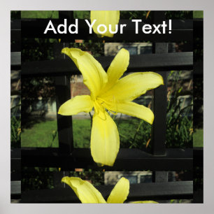 gele Lily Flower Poster