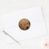 Gele lub puppy Slaping Ronde Sticker (Envelop)