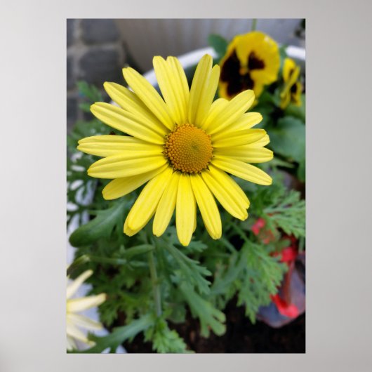 gele maaltijd poster (Voorkant)