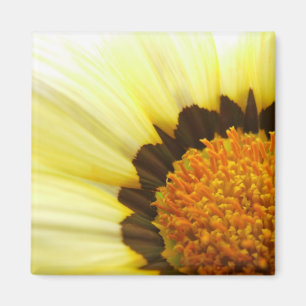 Gele Magneet Gazania