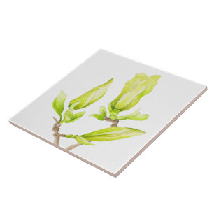 Gele Magnolias op een keramische Tegel (2 W) Tegeltje