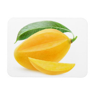 Gele mango knippen magneet