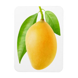 Gele mango magneet