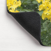 Gele mariged met Muismat voor regendruppels (Hoek)