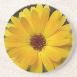 Gele marigold Macro-Onderzetters Zandsteen Onderzetter