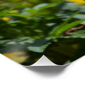 Gele marigolds Macro Perfect Poster (Hoek)