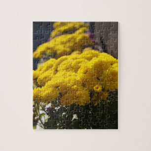 Gele mariniers basken in zonlicht legpuzzel