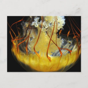 Gele Medusa Jellyfish Briefkaart