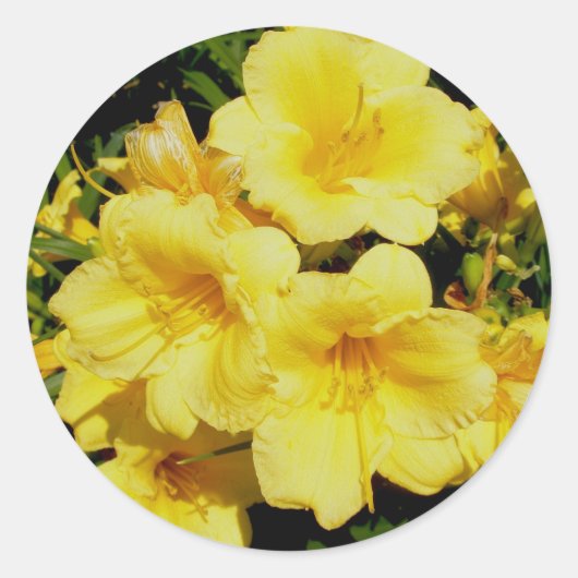 Gele mini Lilies Stickers (Voorkant)