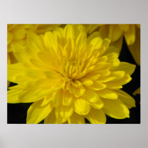 Gele Moeder Poster