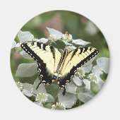 Gele moerasmug magneet (Voorkant)