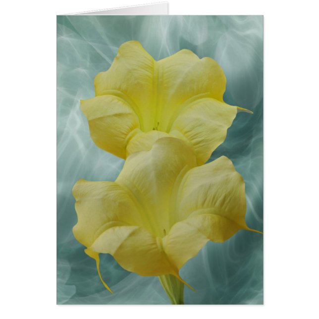 Gele moonbloem (Voorkant)