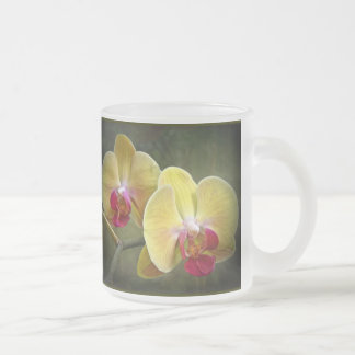 Gele moth Orchids - Phalaenopsis Matglas Koffiemok