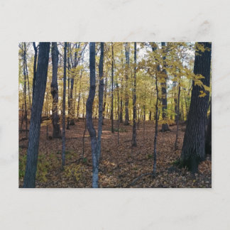 Gele najaarsBriefkaart Briefkaart